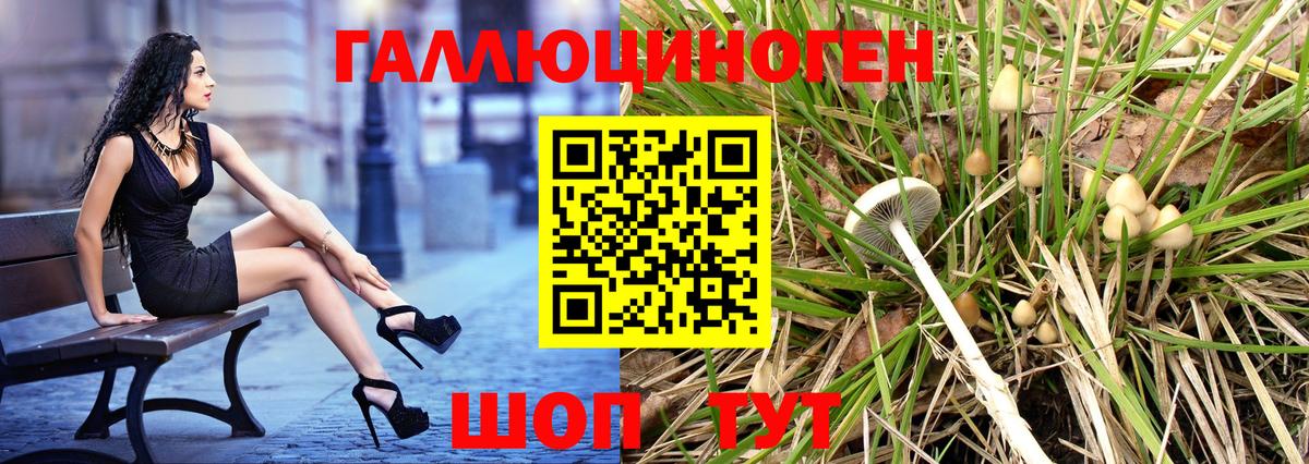 Псилоцибиновые грибы прущие грибы  цены   Курчатов  Вход с VPN 