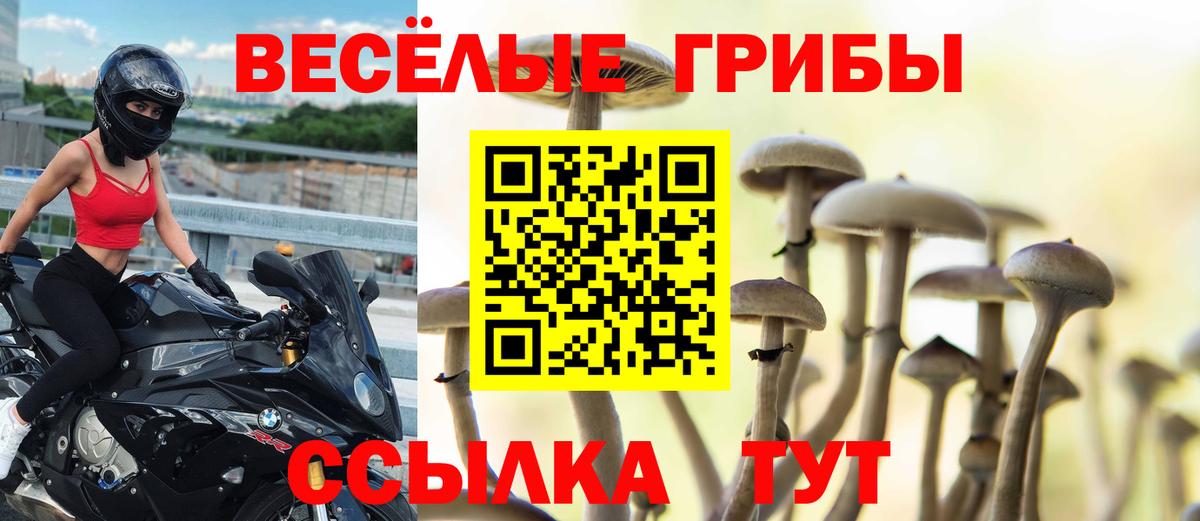 Галлюциногенные грибы GOLDEN TEACHER Курчатов